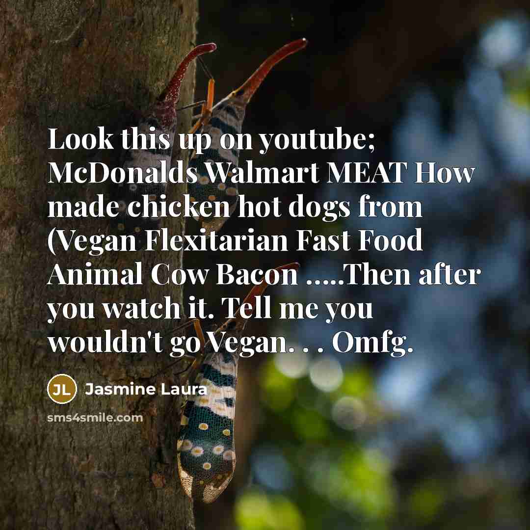 “Look this up on youtube; McDonalds Walmart MEAT How made…” quote by Jasmine Laura