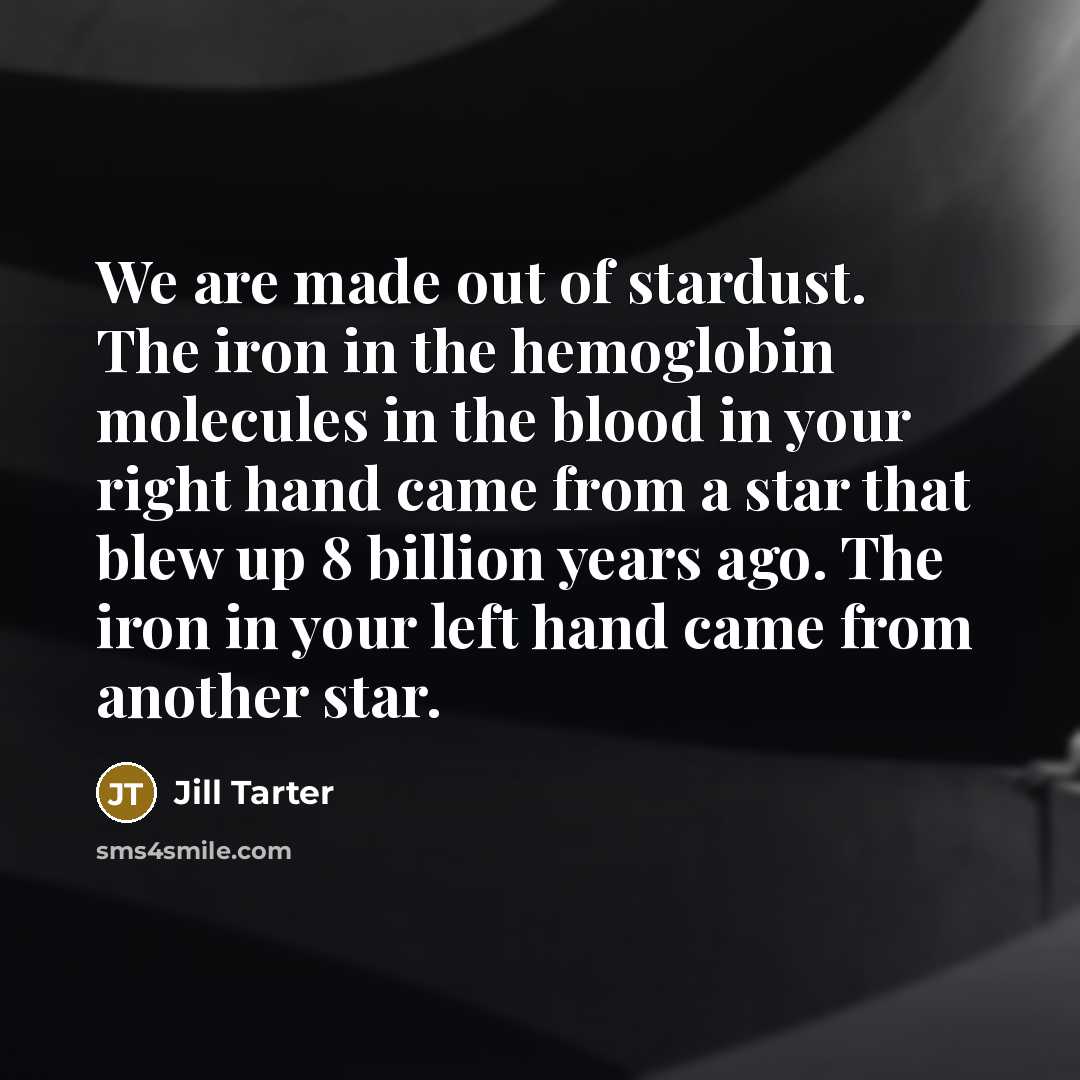 “We are made out of stardust. The iron in the…” quote by Jill Tarter