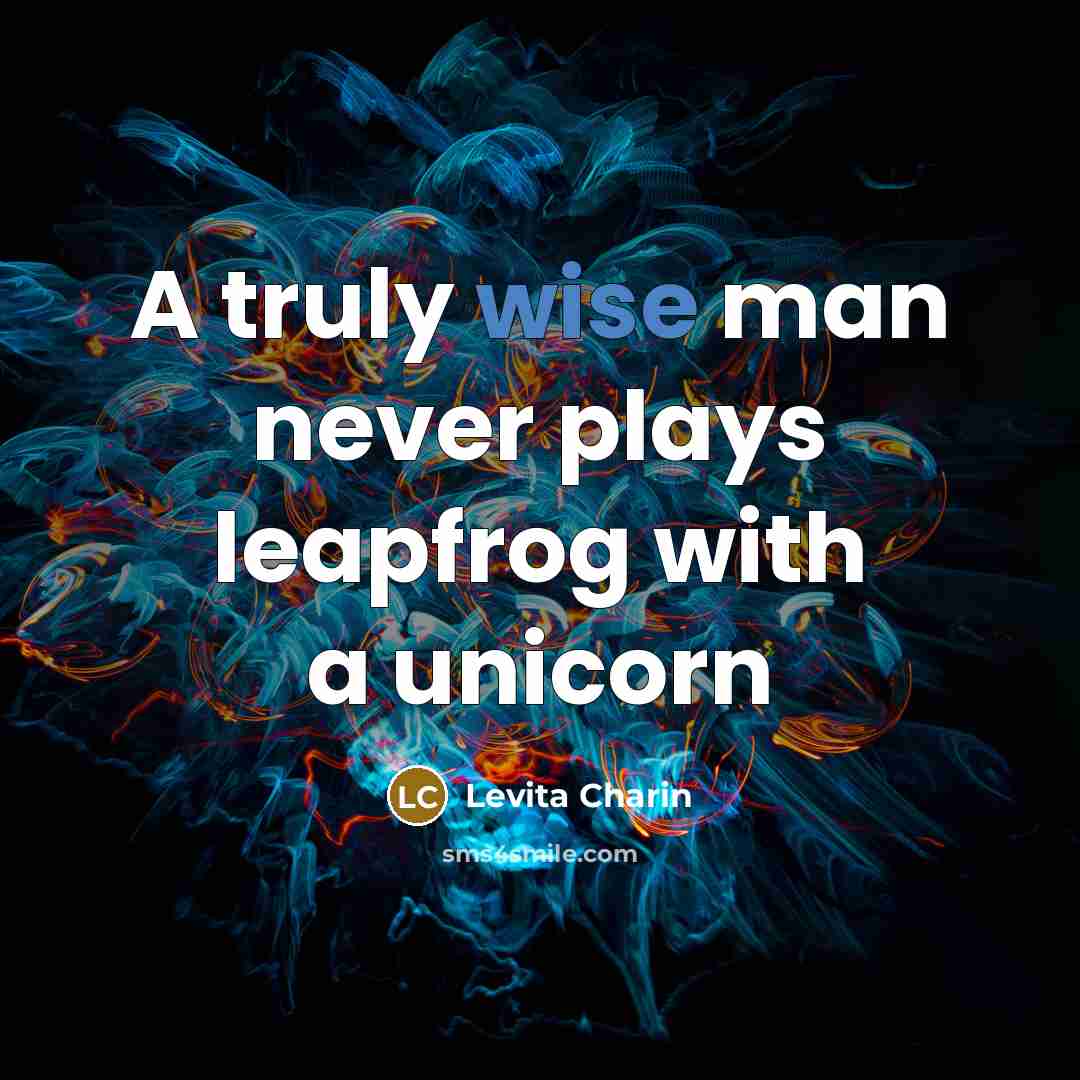 “A truly wise man never plays leapfrog with a unicorn…” quote by Levita Charin