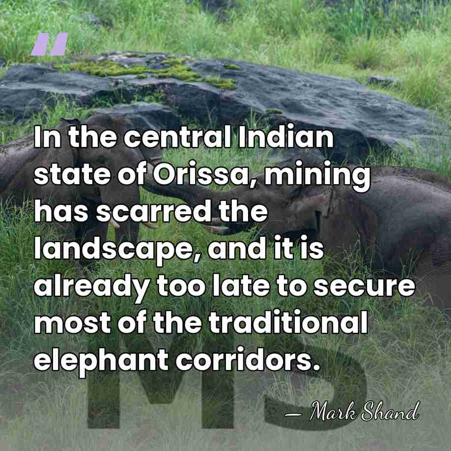 In the central Indian state of Orissa, mining has scarred the landscape,&hellip; - Mark Shand