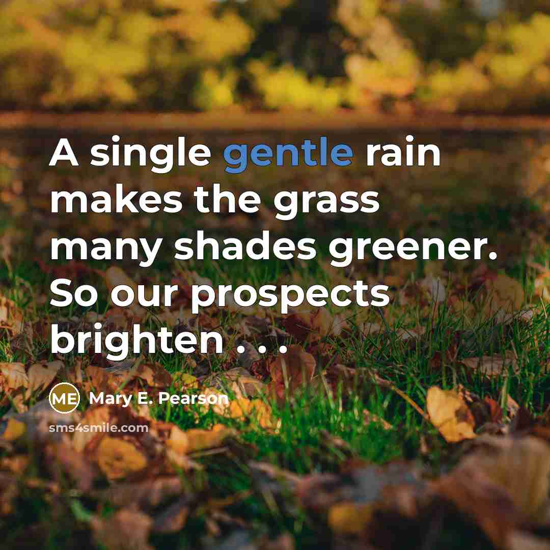 “A single gentle rain makes the grass many shades greener.…” quote by Mary E. Pearson