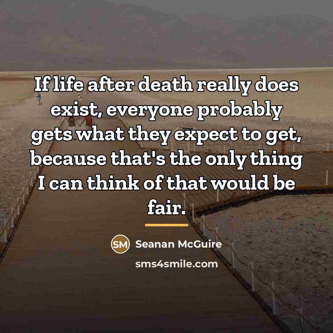 “If life after death really does exist, everyone probably gets…” quote by Seanan McGuire