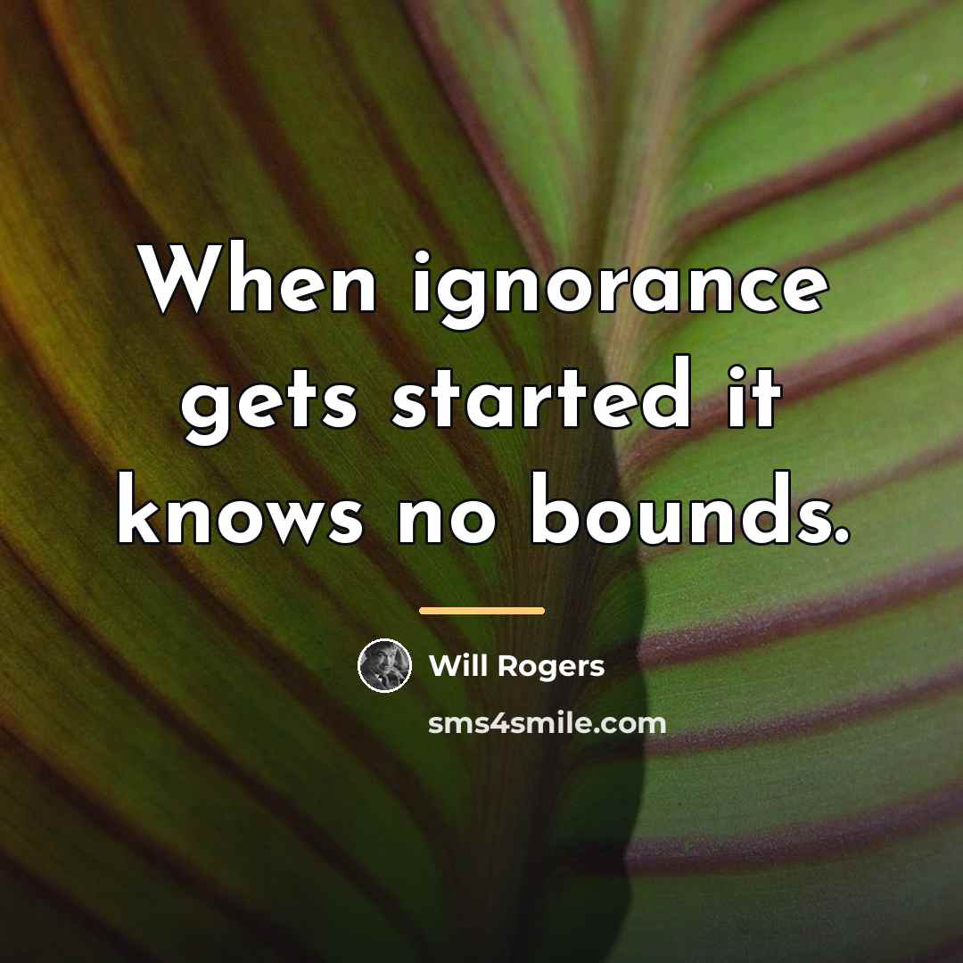 “When ignorance gets started it knows no bounds.…” quote by Will Rogers