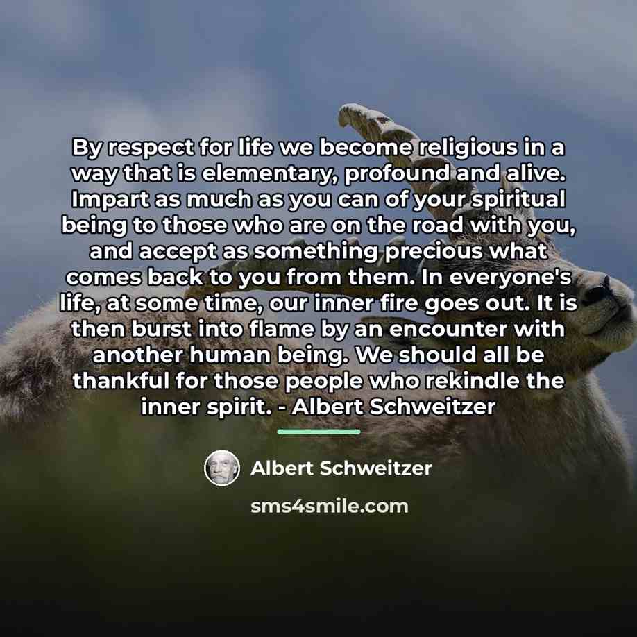 “By respect for life we become religious in a way…” quote by Albert Schweitzer