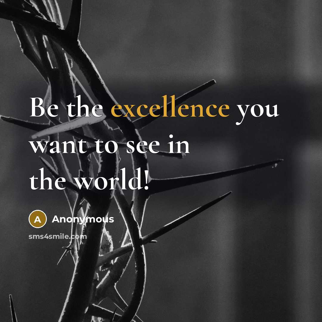 “Be the excellence you want to see in the world!…” quote by Anonymous