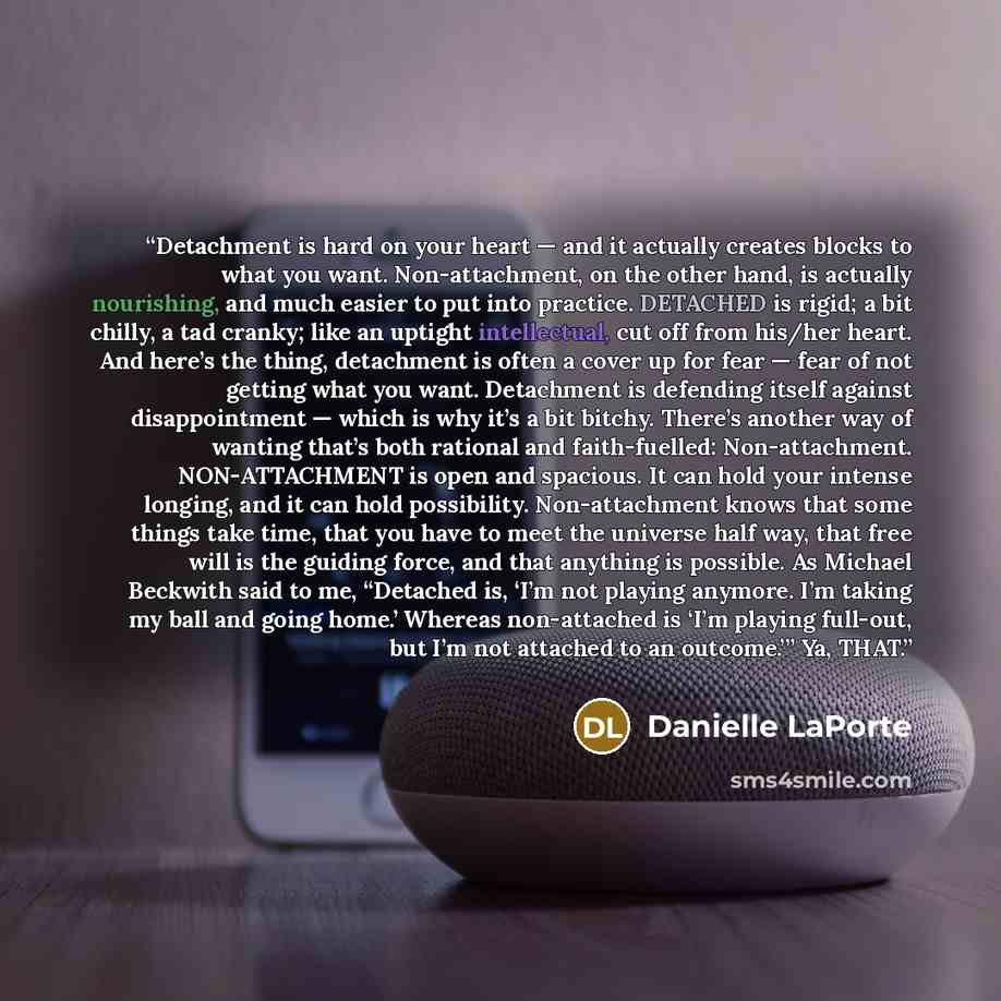 “Detachment is hard on your heart — and it actually creates blocks to what you want. Non-attachment, on the other hand, is actually nourishing, and much easier to put into practice. DETACHED is rigid; a bit chilly, a tad cranky; like an uptight intellectual, cut off from his/her heart. And here’s…” quote by Danielle LaPorte