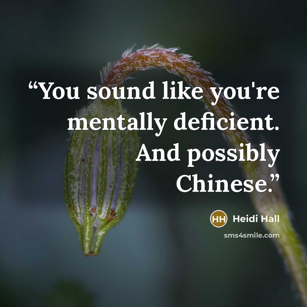 “You sound like you're mentally deficient. And possibly Chinese.” quote by Heidi Hall
