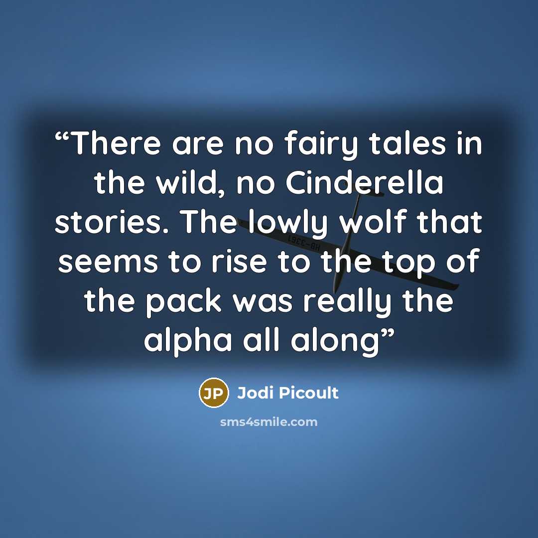 “There are no fairy tales in the wild, no Cinderella stories. The lowly wolf that seems to rise to the top of the pack was really the alpha all along” quote by Jodi Picoult