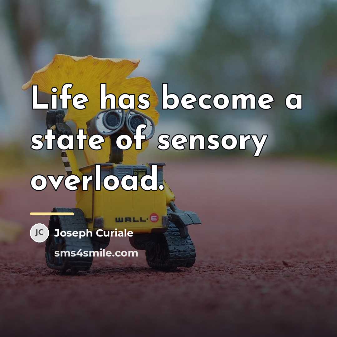 “Life has become a state of sensory overload.…” quote by Joseph Curiale