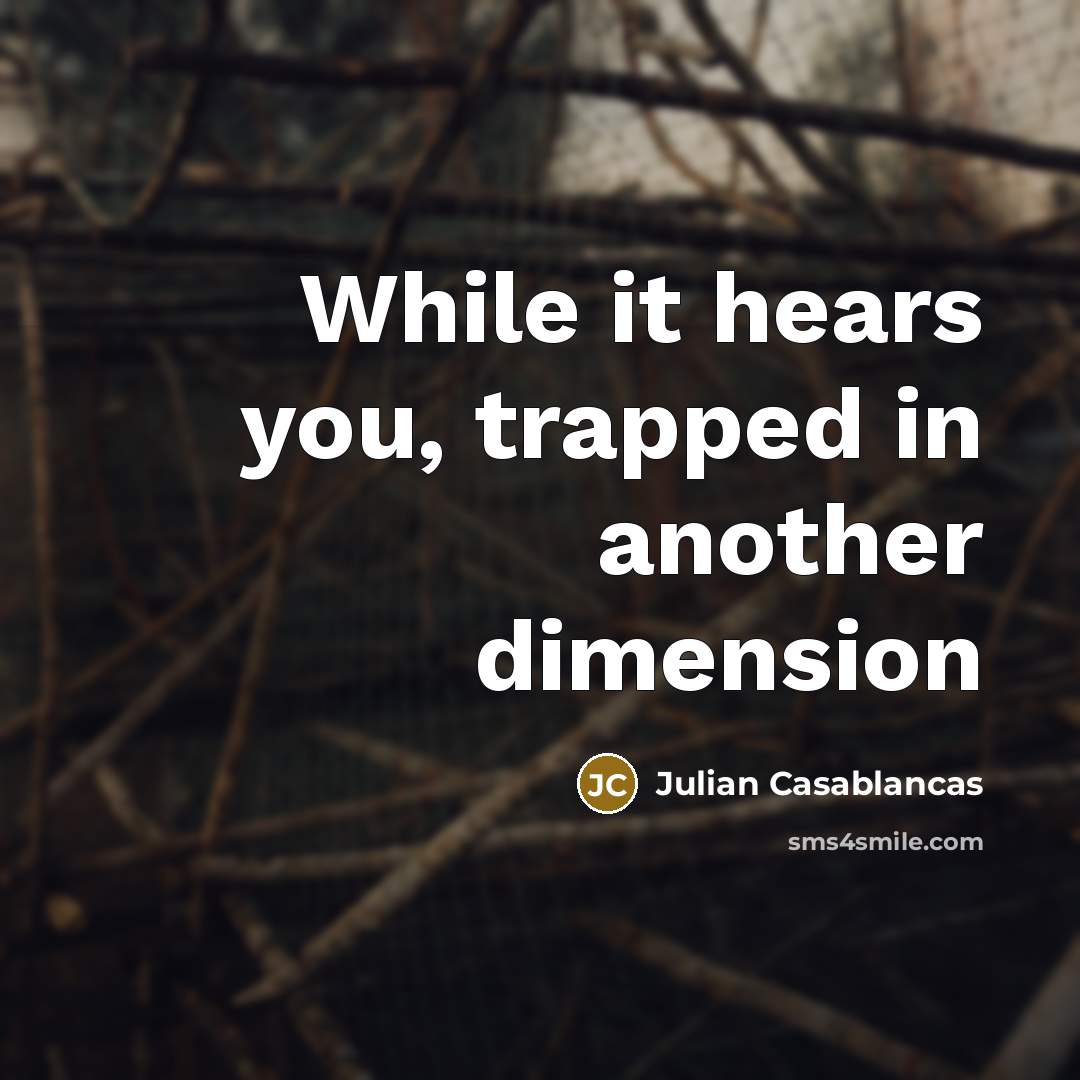 “While it hears you, trapped in another dimension…” quote by Julian Casablancas