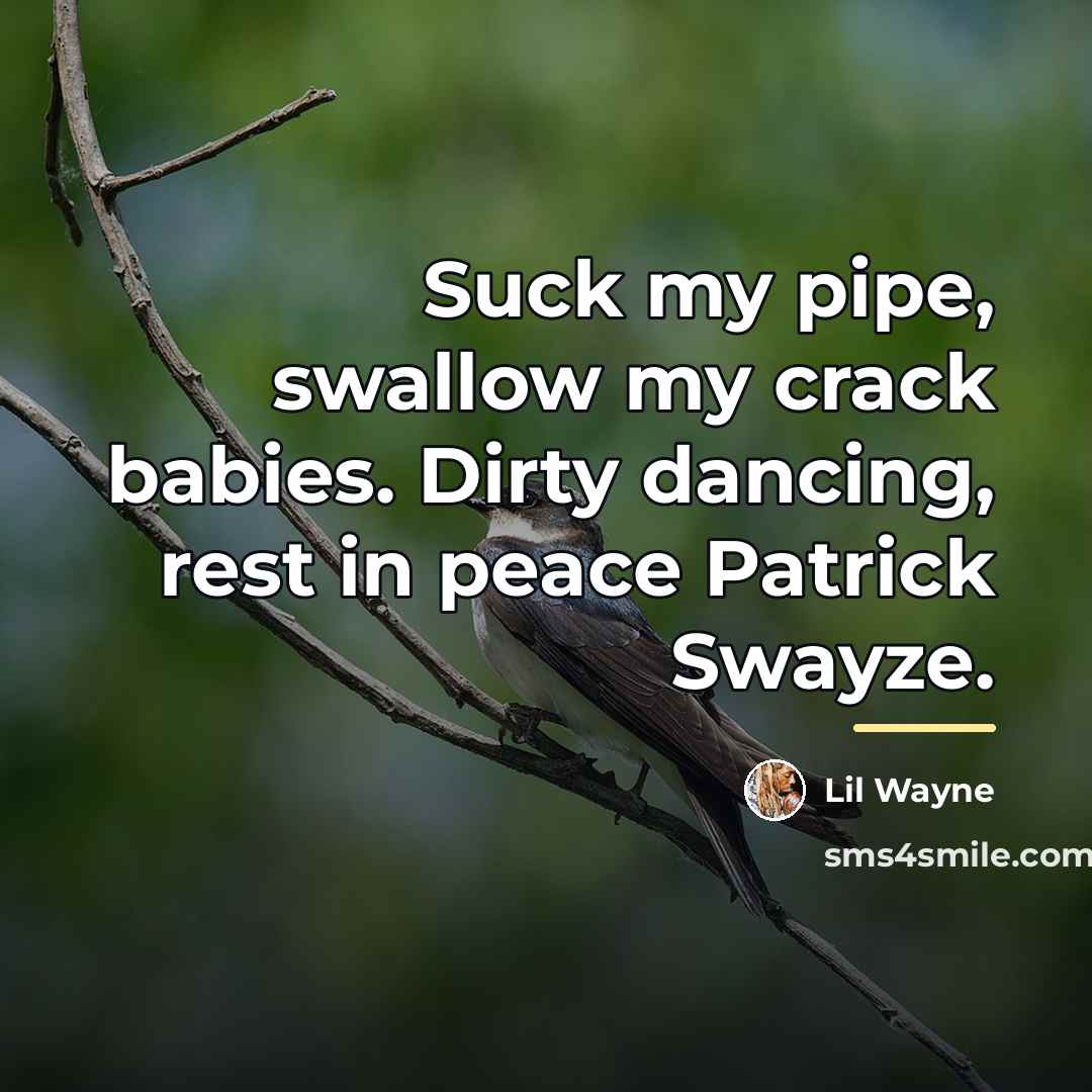 “Suck my pipe, swallow my crack babies. Dirty dancing, rest…” quote by Lil Wayne