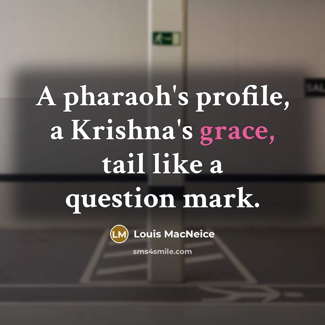 “A pharaoh's profile, a Krishna's grace, tail like a question…” quote by Louis MacNeice