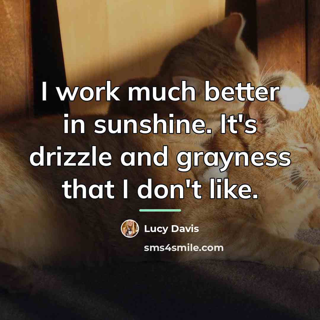 “I work much better in sunshine. It's drizzle and grayness…” quote by Lucy Davis