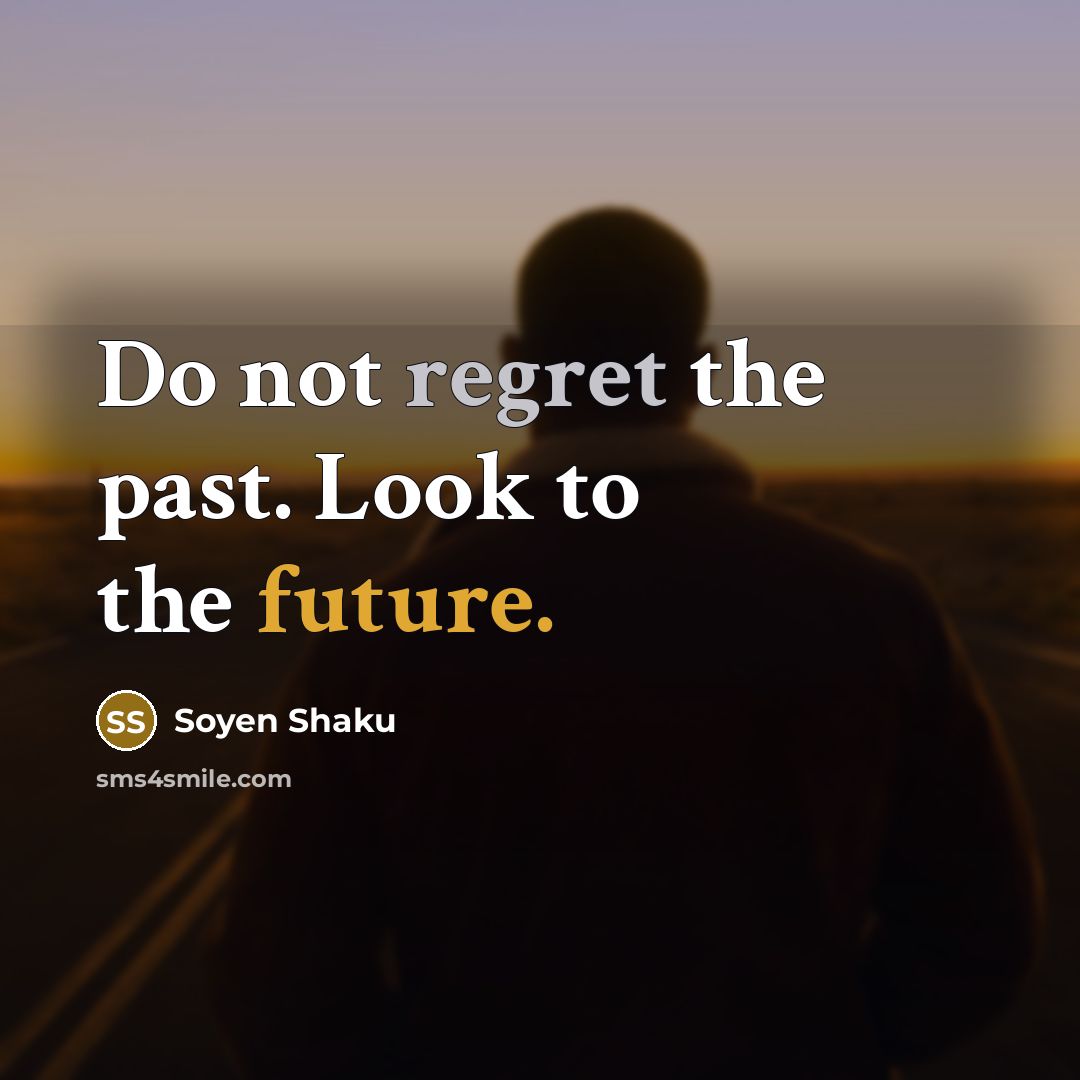 “Do not regret the past. Look to the future.…” quote by Soyen Shaku