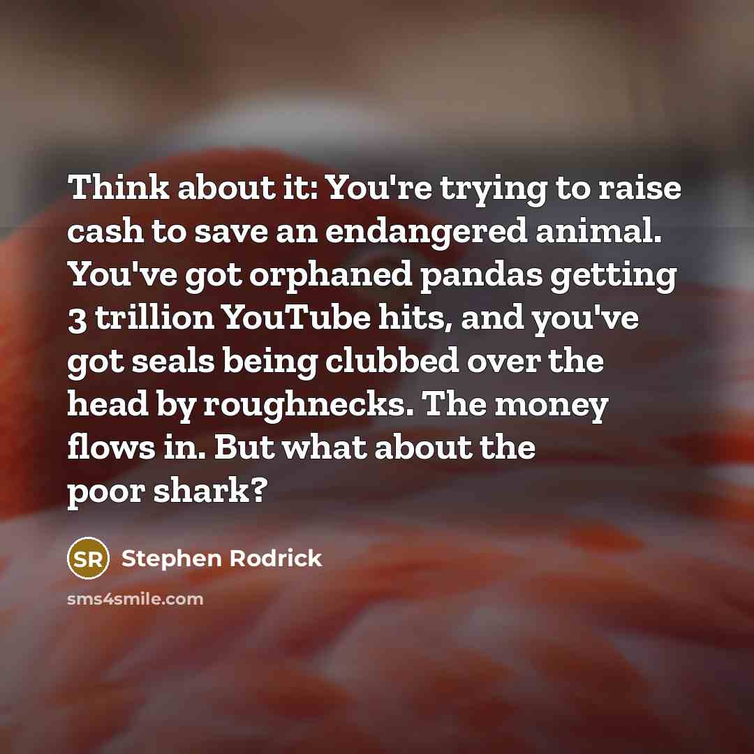 “Think about it: You're trying to raise cash to save…” quote by Stephen Rodrick