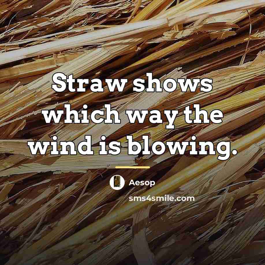 “Straw shows which way the wind is blowing.…” quote by Aesop