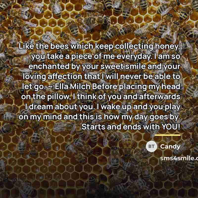 “Like the bees which keep collecting honey, you take a…” quote by CANDY