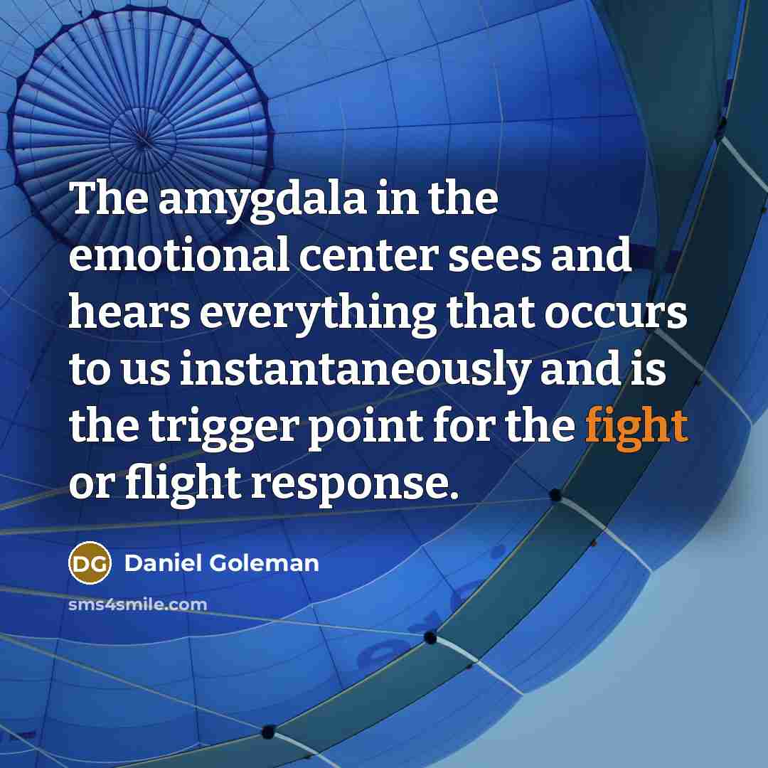 “The amygdala in the emotional center sees and hears everything…” quote by Daniel Goleman