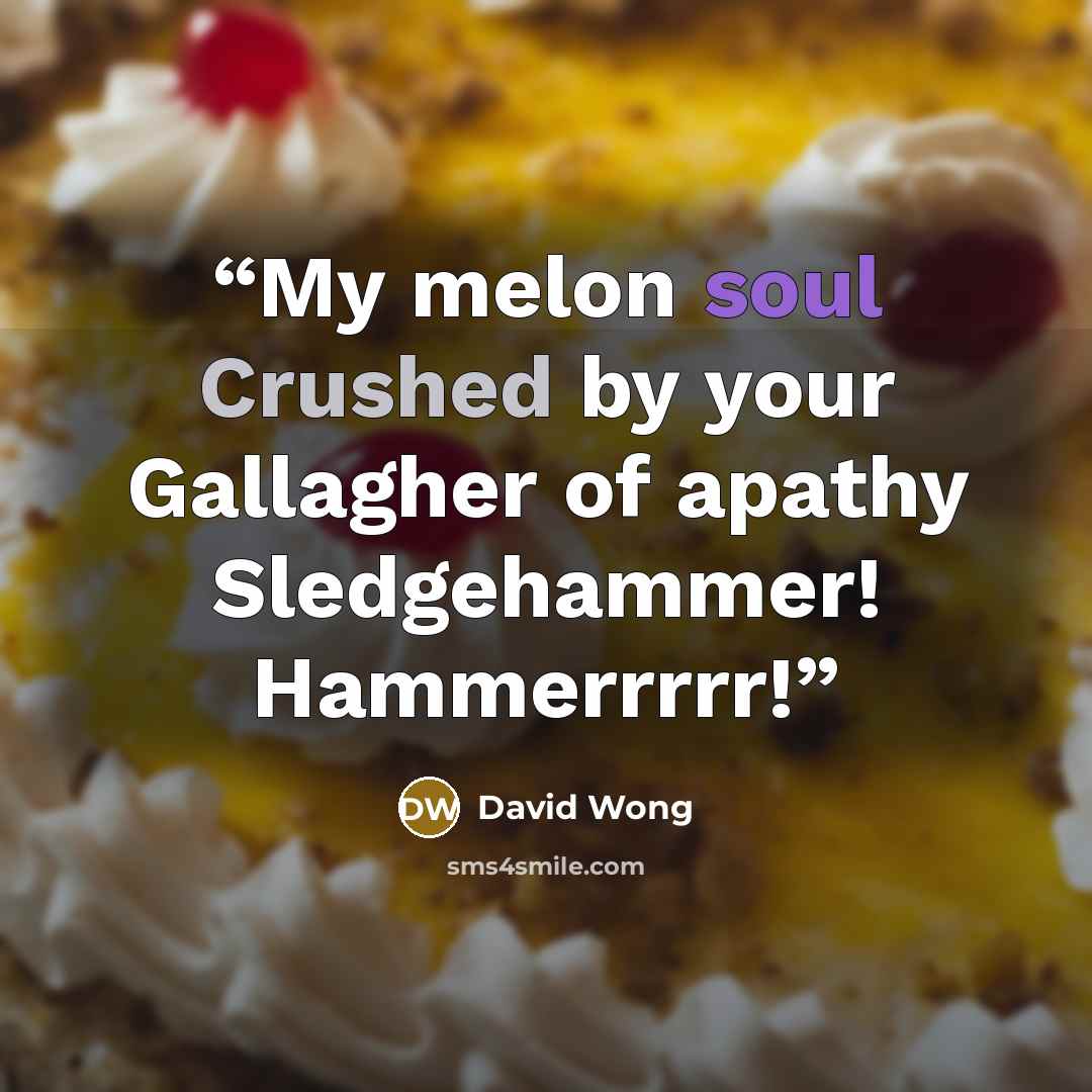 “My melon soul Crushed by your Gallagher of apathy Sledgehammer! Hammerrrrr!” quote by David Wong
