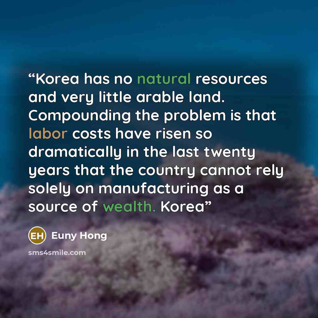 “Korea has no natural resources and very little arable land. Compounding the problem is that labor costs have risen so dramatically in the last twenty years that the country cannot rely solely on manufacturing as a source of wealth. Korea” quote by Euny Hong