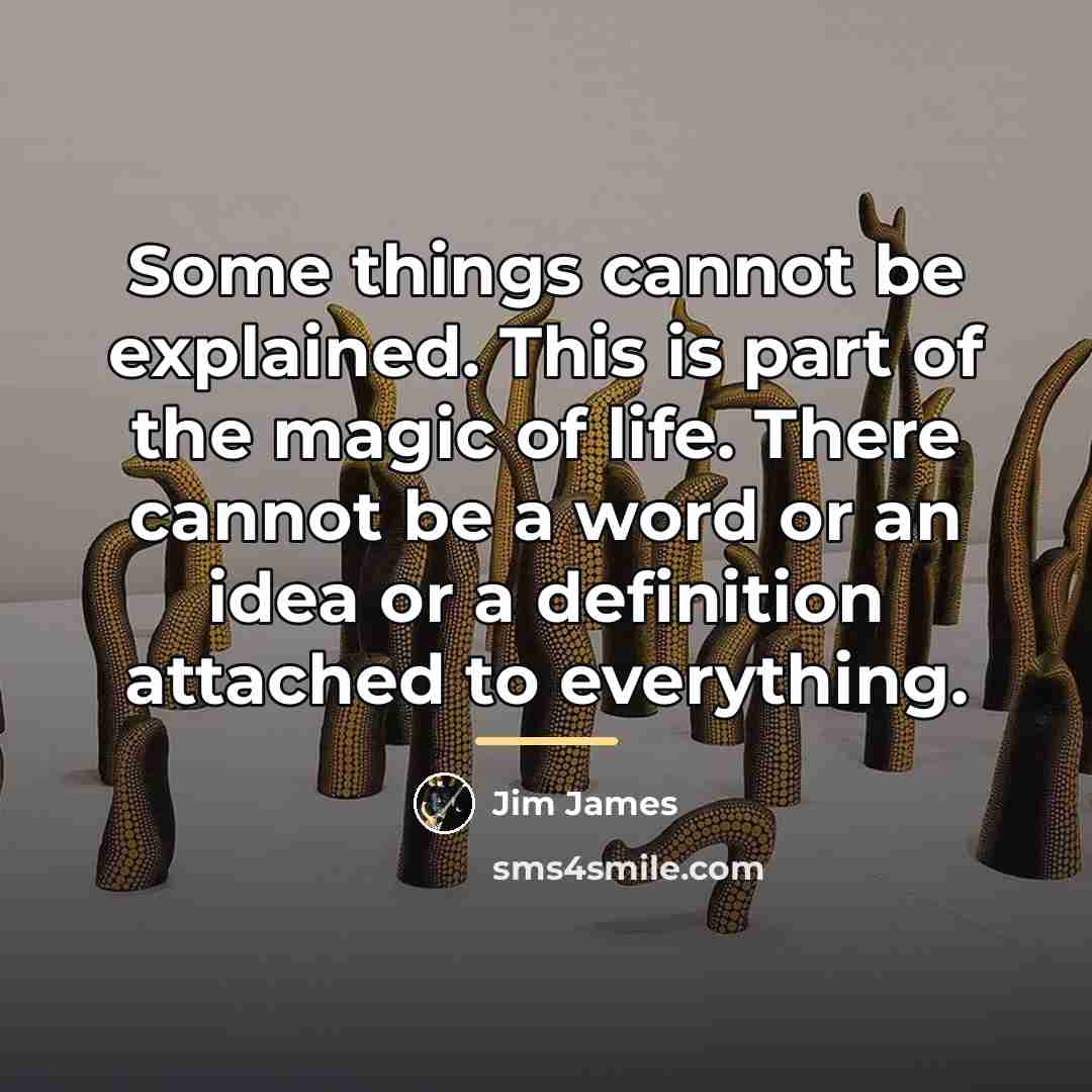 “Some things cannot be explained. This is part of the…” quote by Jim James