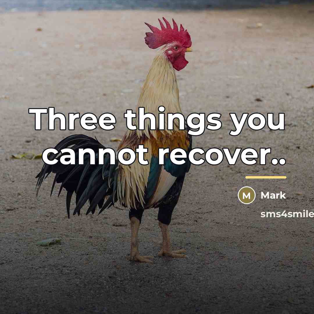 “Three things you cannot recover..…” quote by Mark
