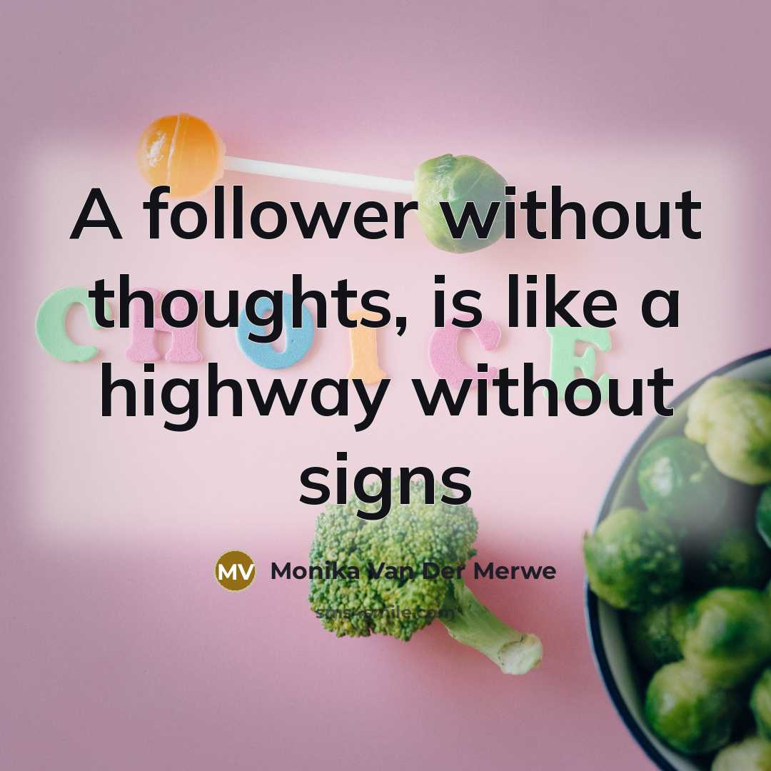 “A follower without thoughts, is like a highway without signs…” quote by Monika Van Der Merwe