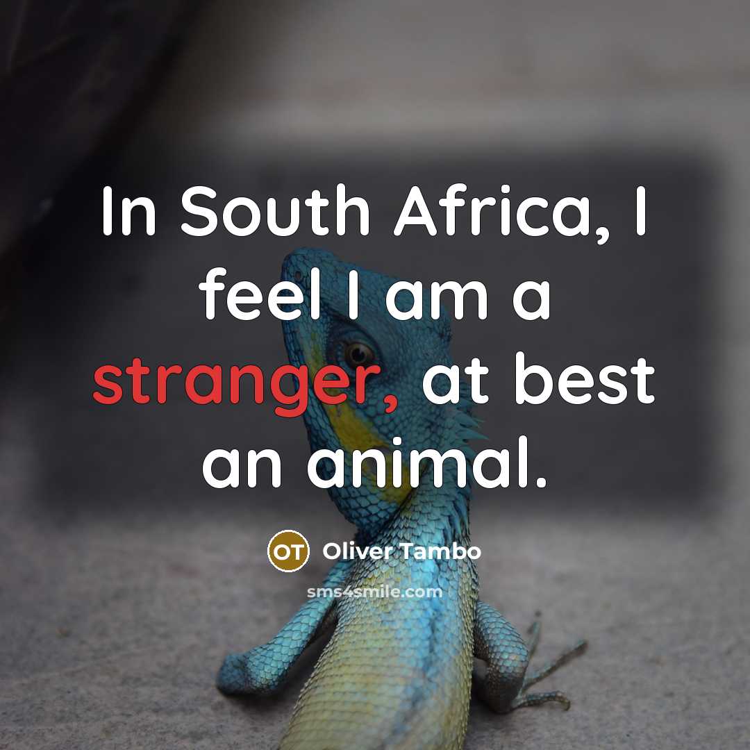 “In South Africa, I feel I am a stranger, at best an animal.” quote by Oliver Tambo