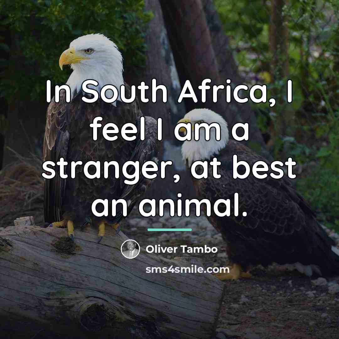 “In South Africa, I feel I am a stranger, at…” quote by Oliver Tambo