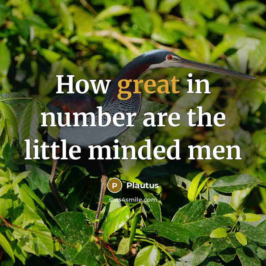 “How great in number are the little minded men…” quote by Plautus