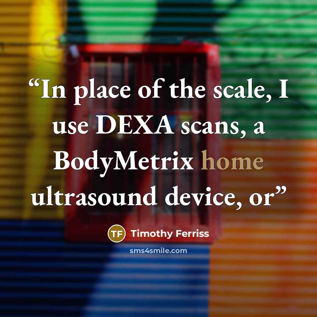 “In place of the scale, I use DEXA scans, a BodyMetrix home ultrasound device, or” quote by Timothy Ferriss