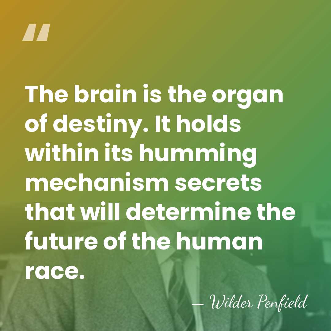 The brain is the organ of destiny. It holds within its humming&hellip; - Wilder Penfield