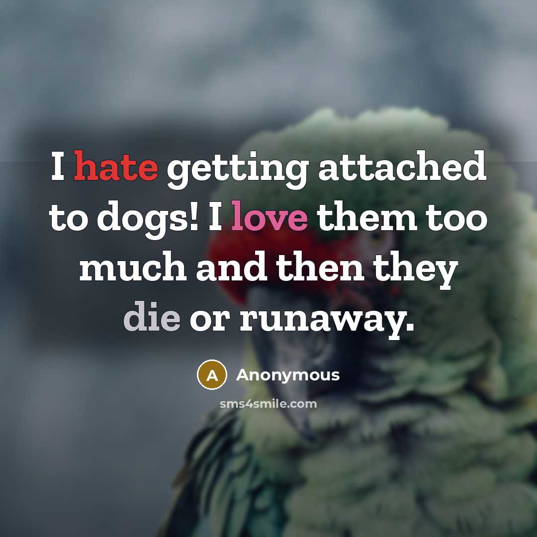 “I hate getting attached to dogs! I love them too much and then they die or runaway.” quote by Anonymous