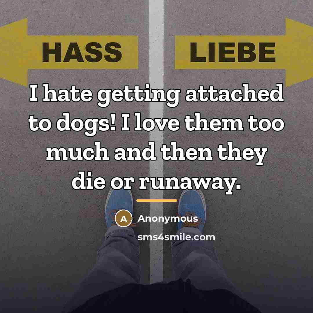 “I hate getting attached to dogs! I love them too…” quote by Anonymous
