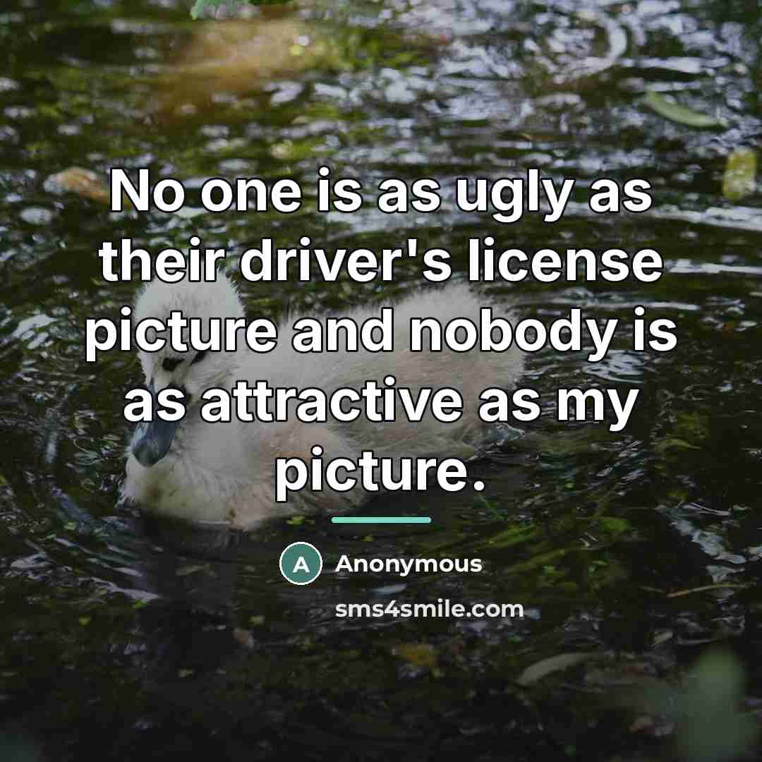 “No one is as ugly as their driver's license picture…” quote by Anonymous