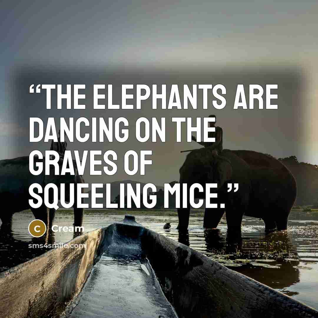 “The elephants are dancing on the graves of squeeling mice.” quote by Cream