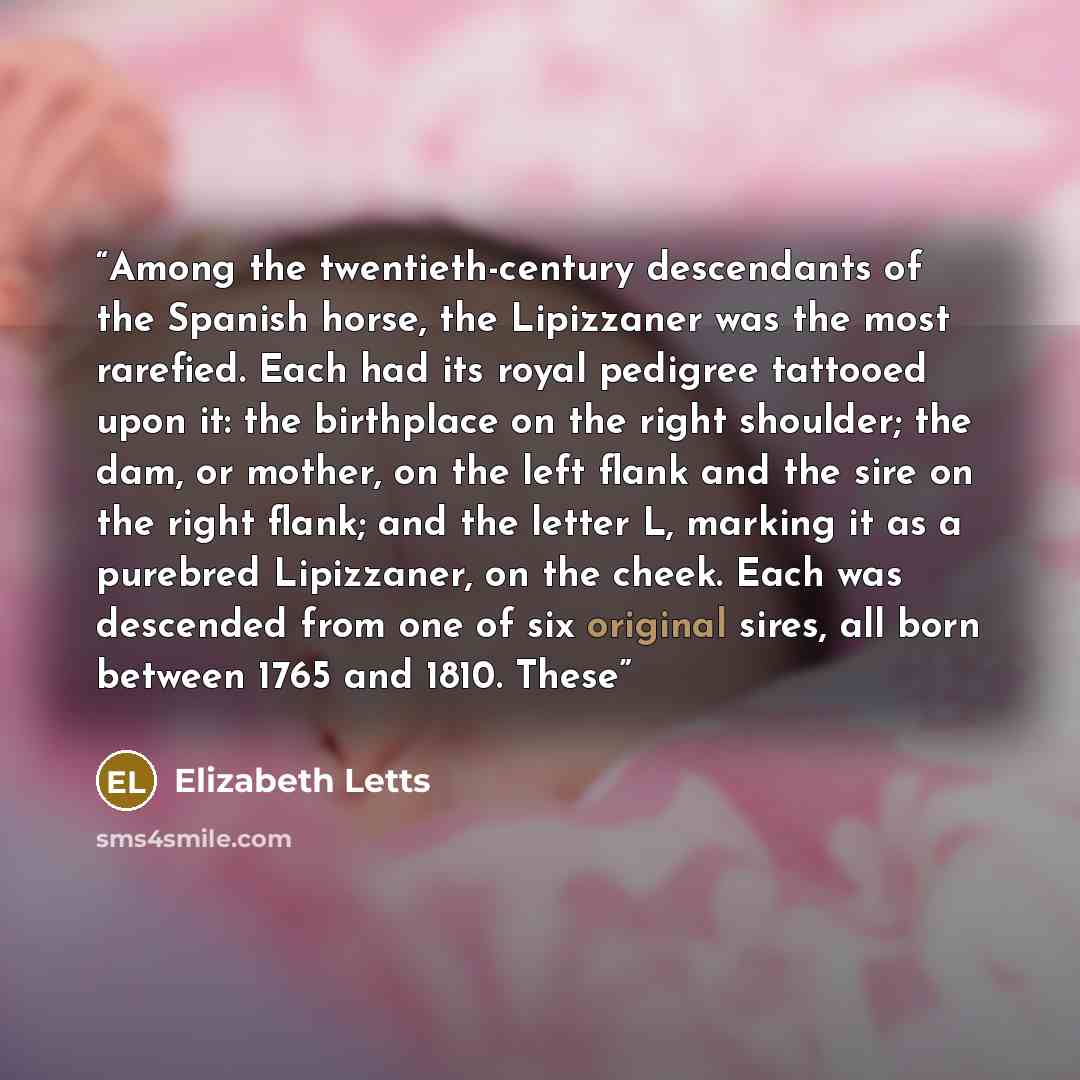 “Among the twentieth-century descendants of the Spanish horse, the Lipizzaner was the most rarefied. Each had its royal pedigree tattooed upon it: the birthplace on the right shoulder; the dam, or mother, on the left flank and the sire on the right flank; and the letter L, marking it as a purebred…” quote by Elizabeth Letts