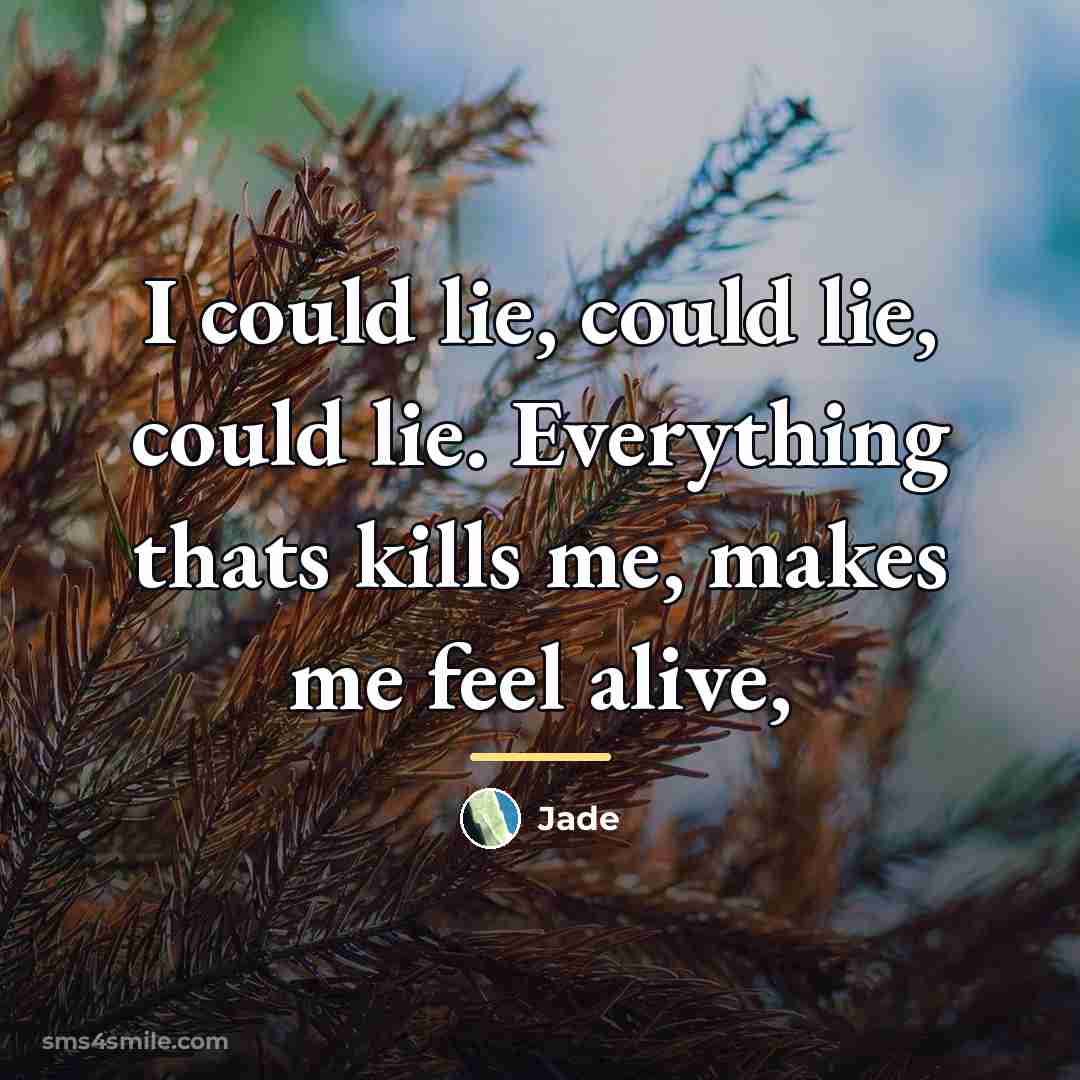 “I could lie, could lie, could lie. Everything thats kills…” quote by Jade