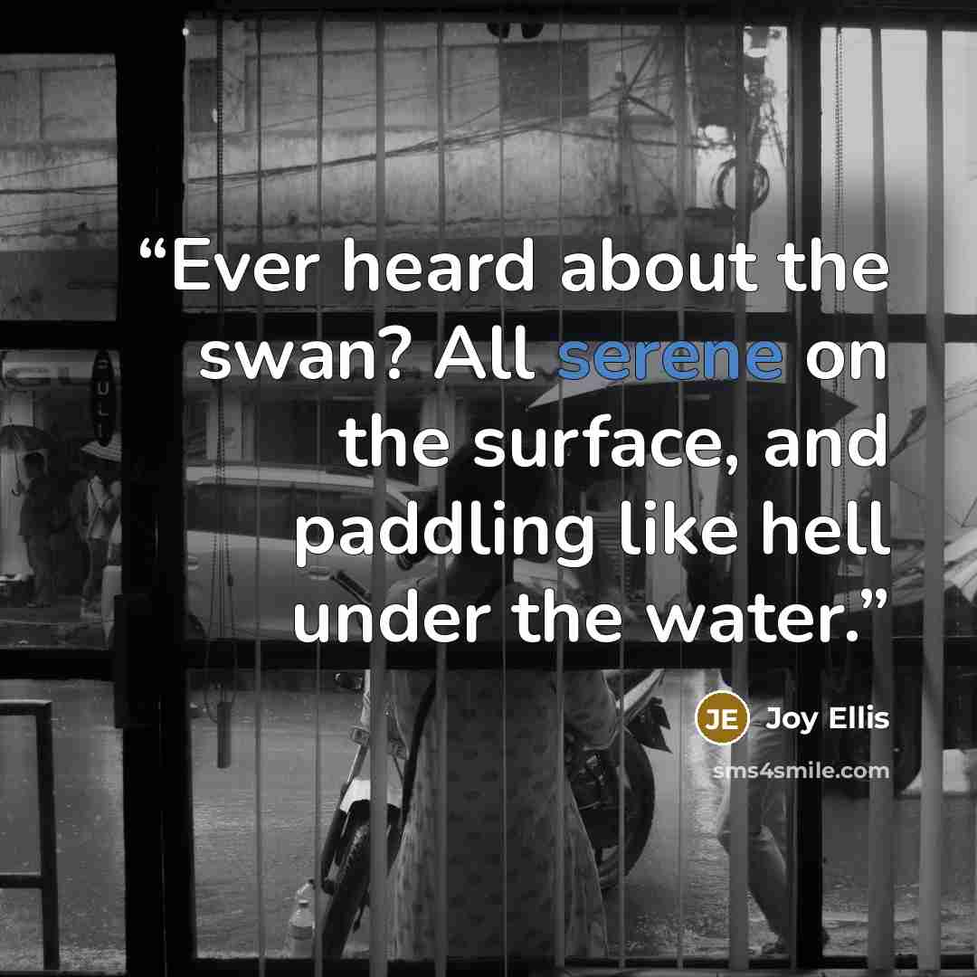 “Ever heard about the swan? All serene on the surface, and paddling like hell under the water.” quote by Joy Ellis
