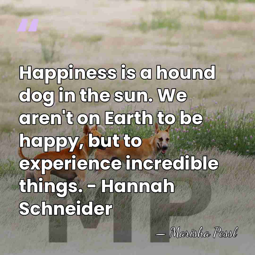 Happiness is a hound dog in the sun. We aren't on Earth&hellip; - Marisha Pessl