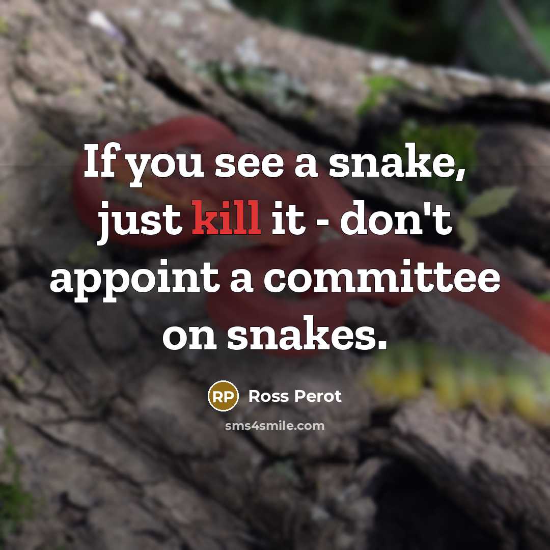 “If you see a snake, just kill it - don't…” quote by Ross Perot