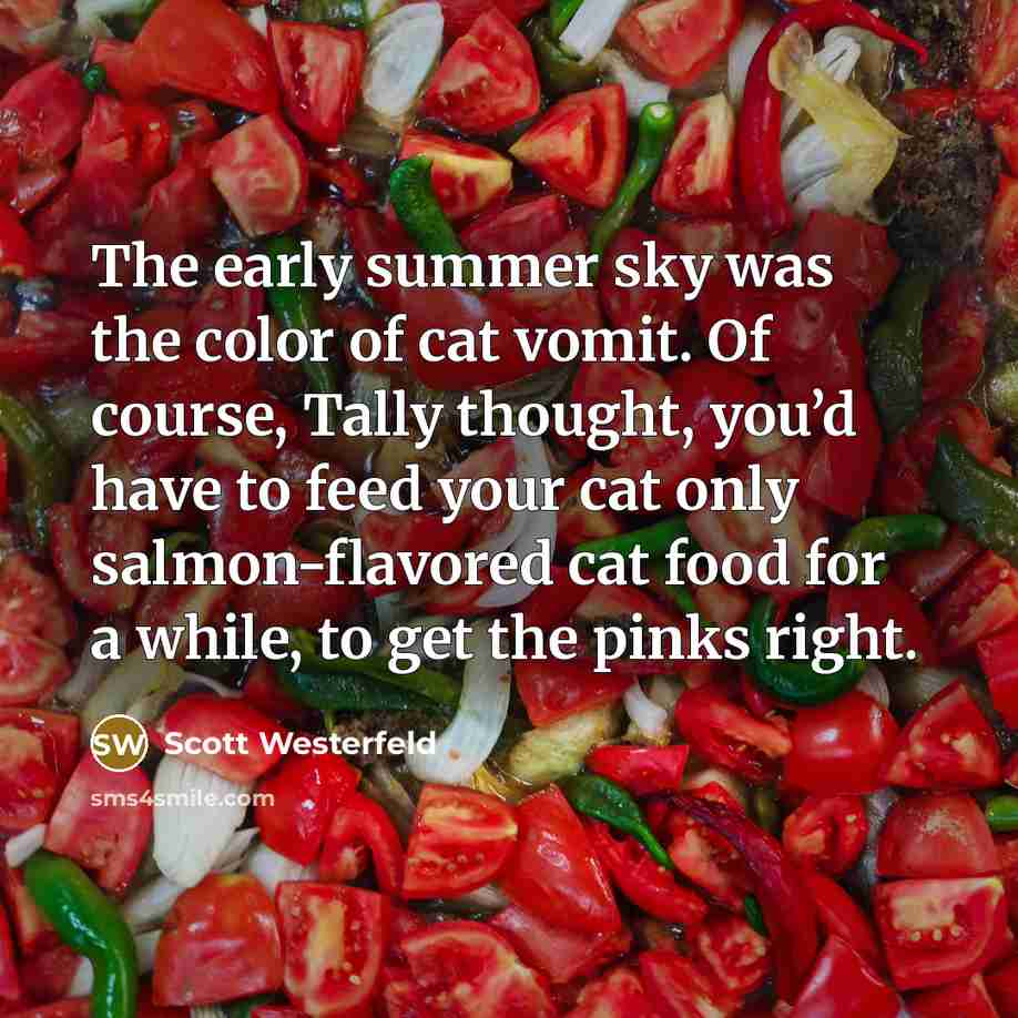 “The early summer sky was the color of cat vomit.…” quote by Scott Westerfeld