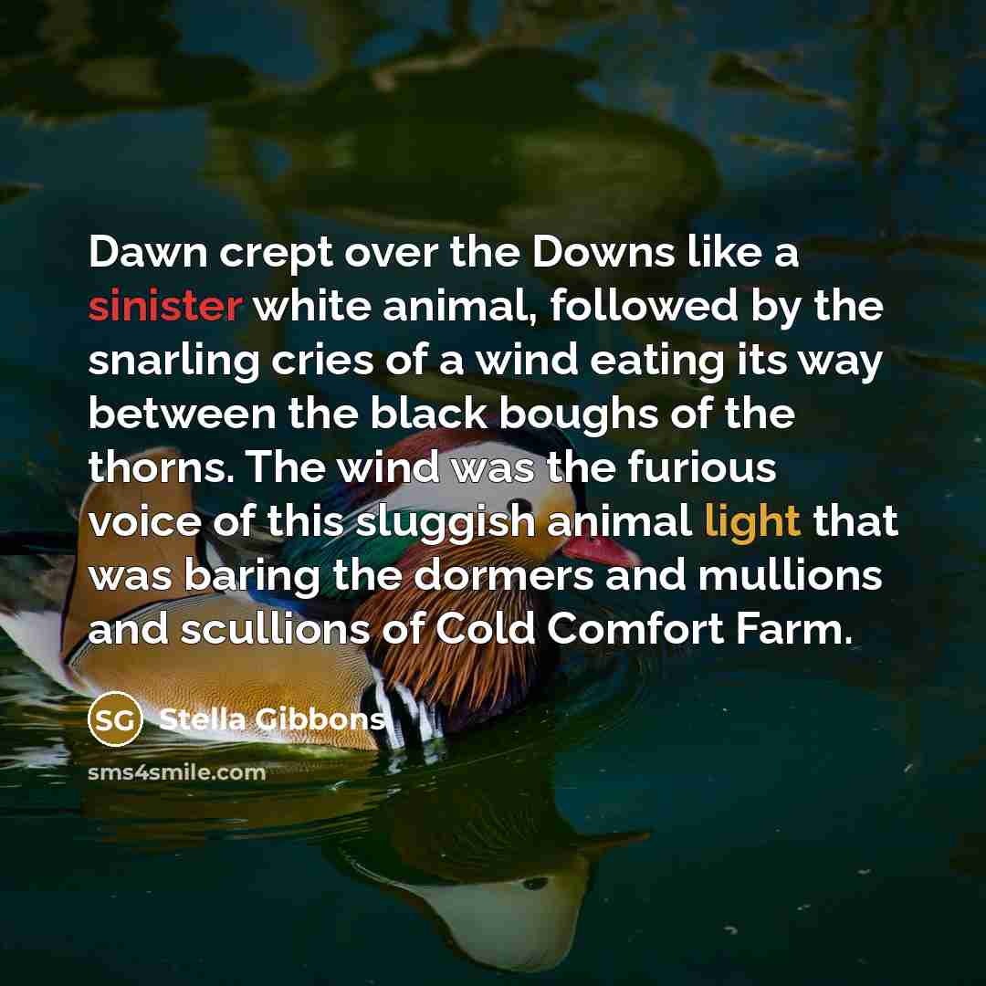 “Dawn crept over the Downs like a sinister white animal,…” quote by Stella Gibbons