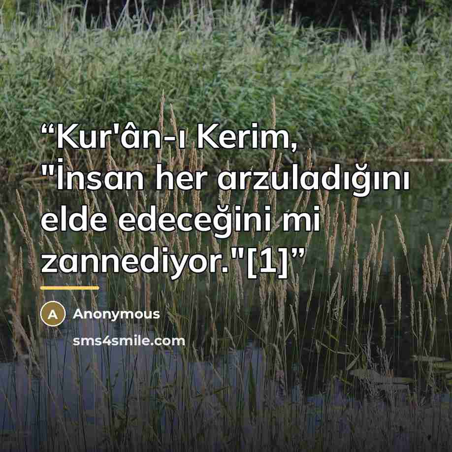 “Kur'ân-ı Kerim, "İnsan her arzuladığını elde edeceğini mi zannediyor."[1]” quote by Anonymous