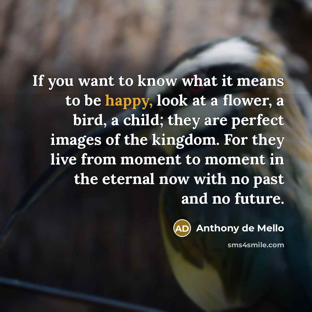 “If you want to know what it means to be…” quote by Anthony de Mello