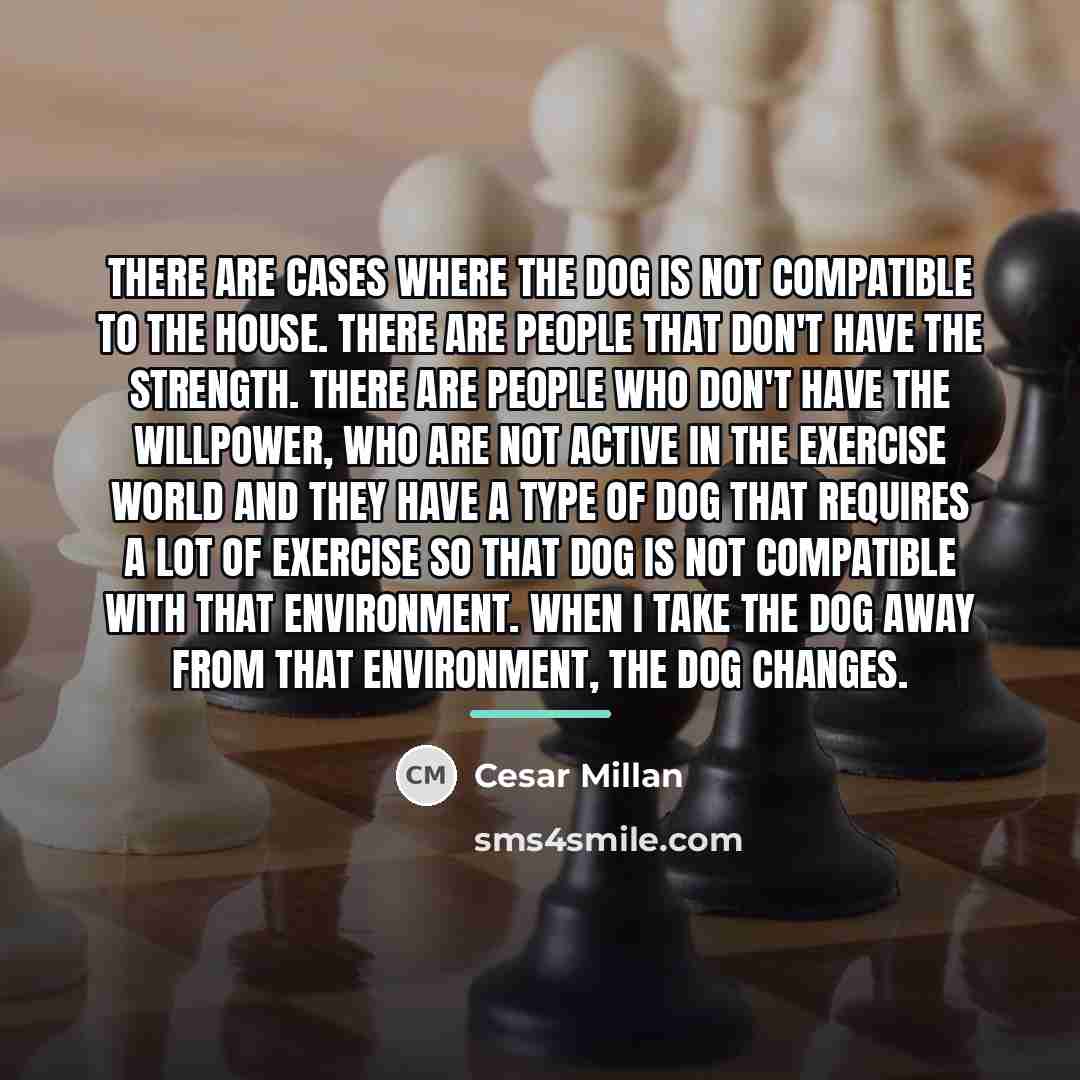 “There are cases where the dog is not compatible to…” quote by Cesar Millan