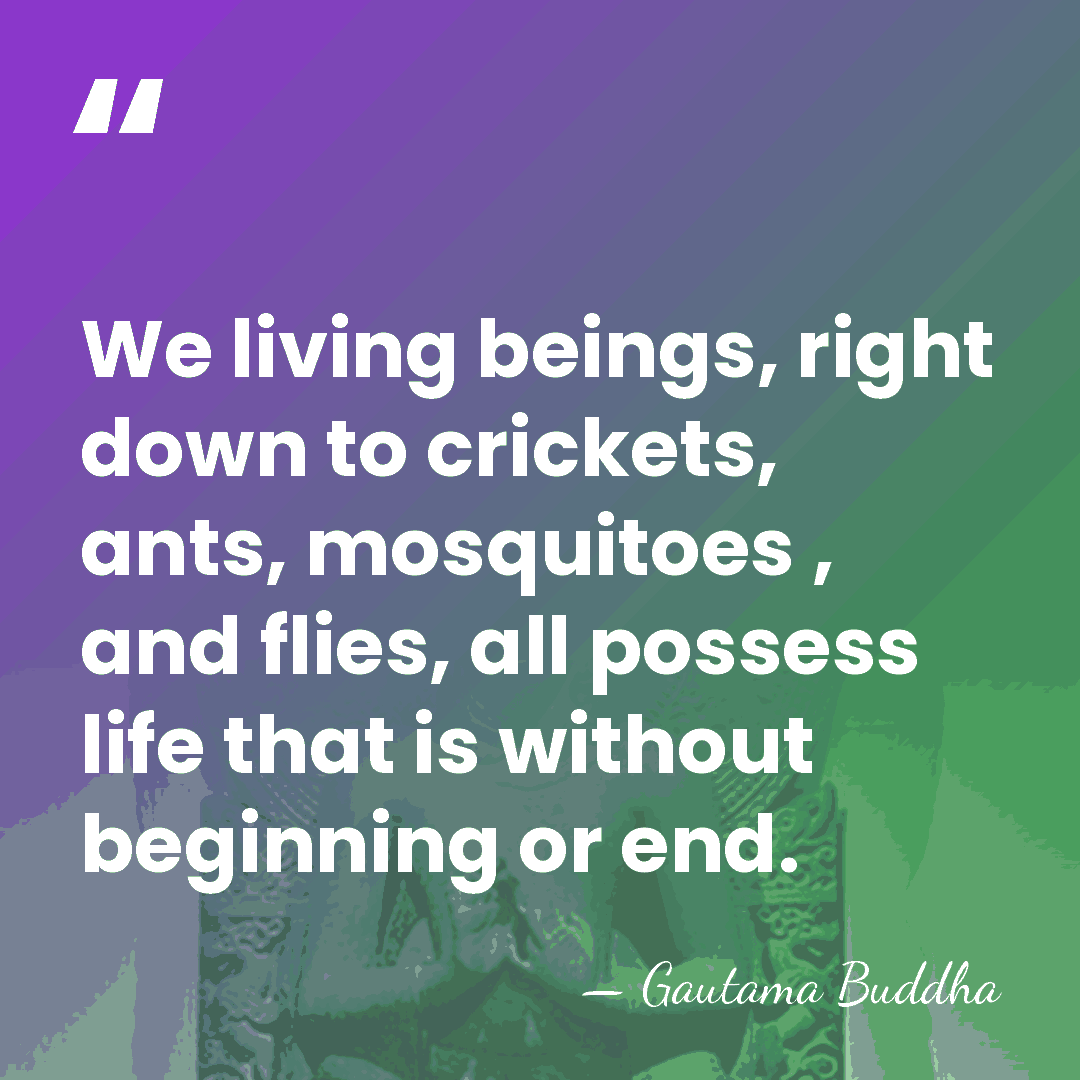 We living beings, right down to crickets, ants, mosquitoes , and flies,&hellip; - Gautama Buddha