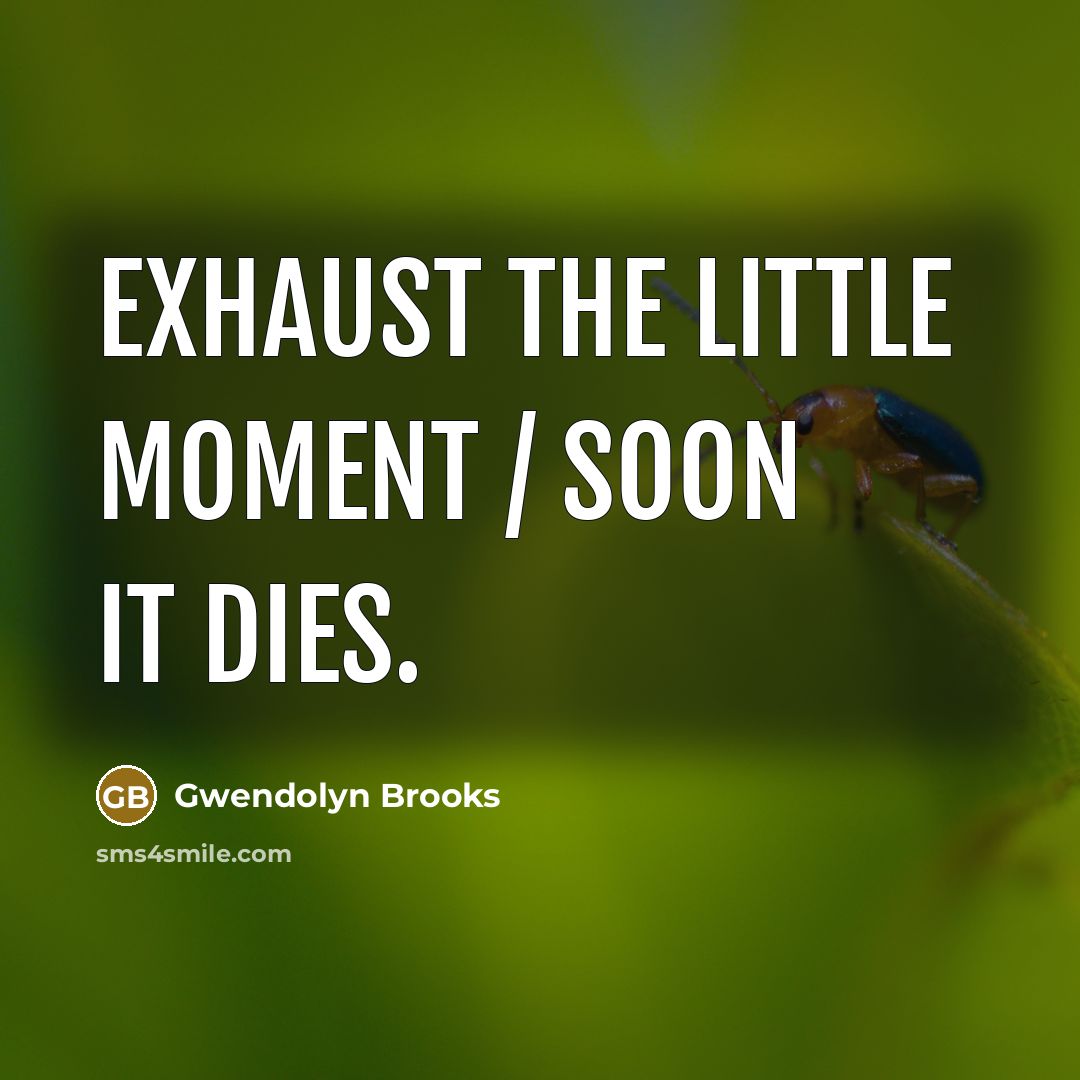 “Exhaust the little moment / Soon it dies.…” quote by Gwendolyn Brooks