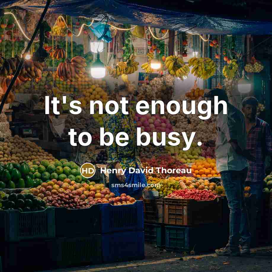 “It's not enough to be busy.…” quote by Henry David Thoreau