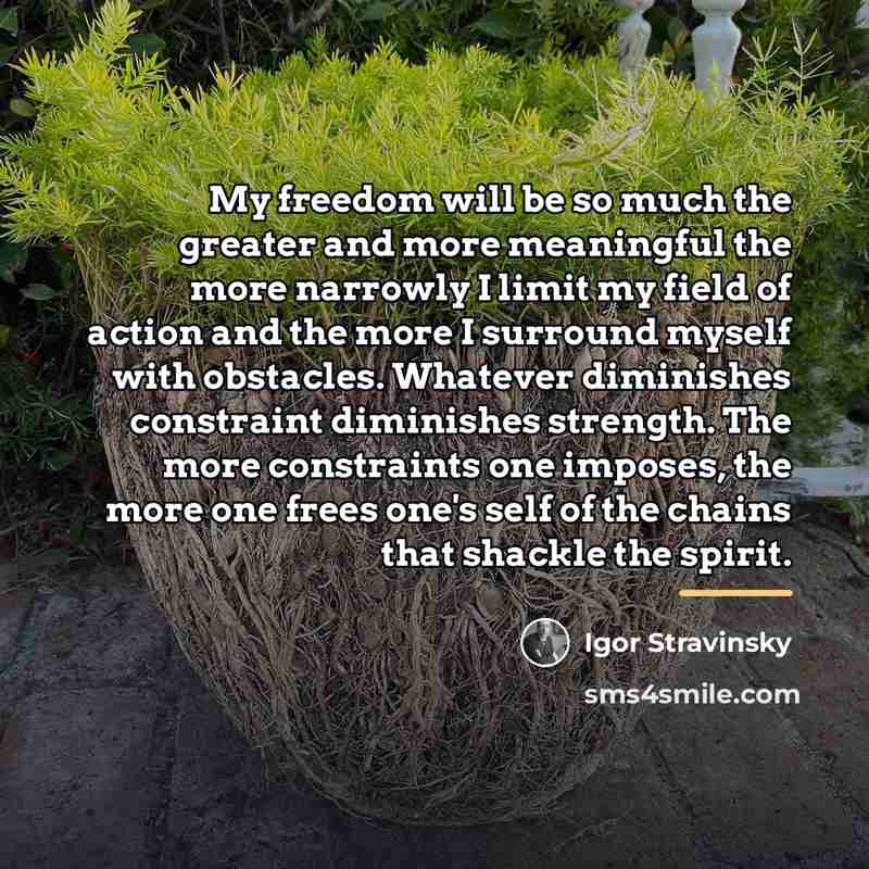 “My freedom will be so much the greater and more…” quote by Igor Stravinsky